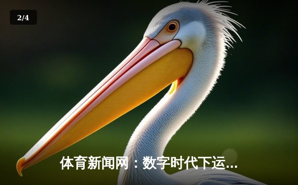 体育新闻网：数字时代下运动资讯的嬗变与价值重构 - 2